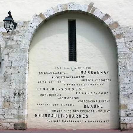 Plus Belle La Vigne