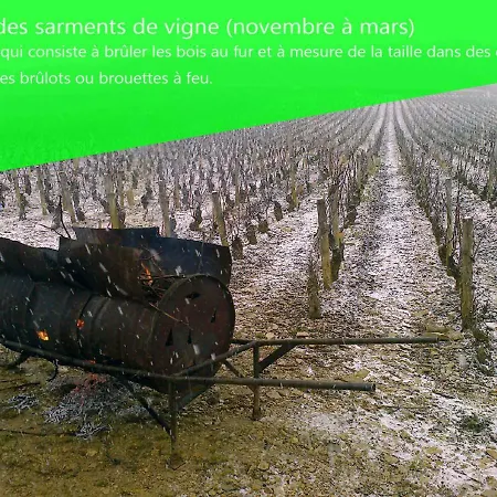 Plus Belle La Vigne Appartement *